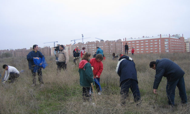 Día de la Tierra: propuestas vecinales para mejorar la sostenibilidad medioambiental de Madrid