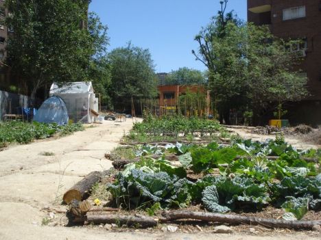 El Ayuntamiento de Madrid autoriza el uso de cinco nuevos huertos comunitarios
