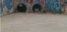 El vecindario de Sanchinarro denuncia en un video la muerte del último arroyo de Madrid