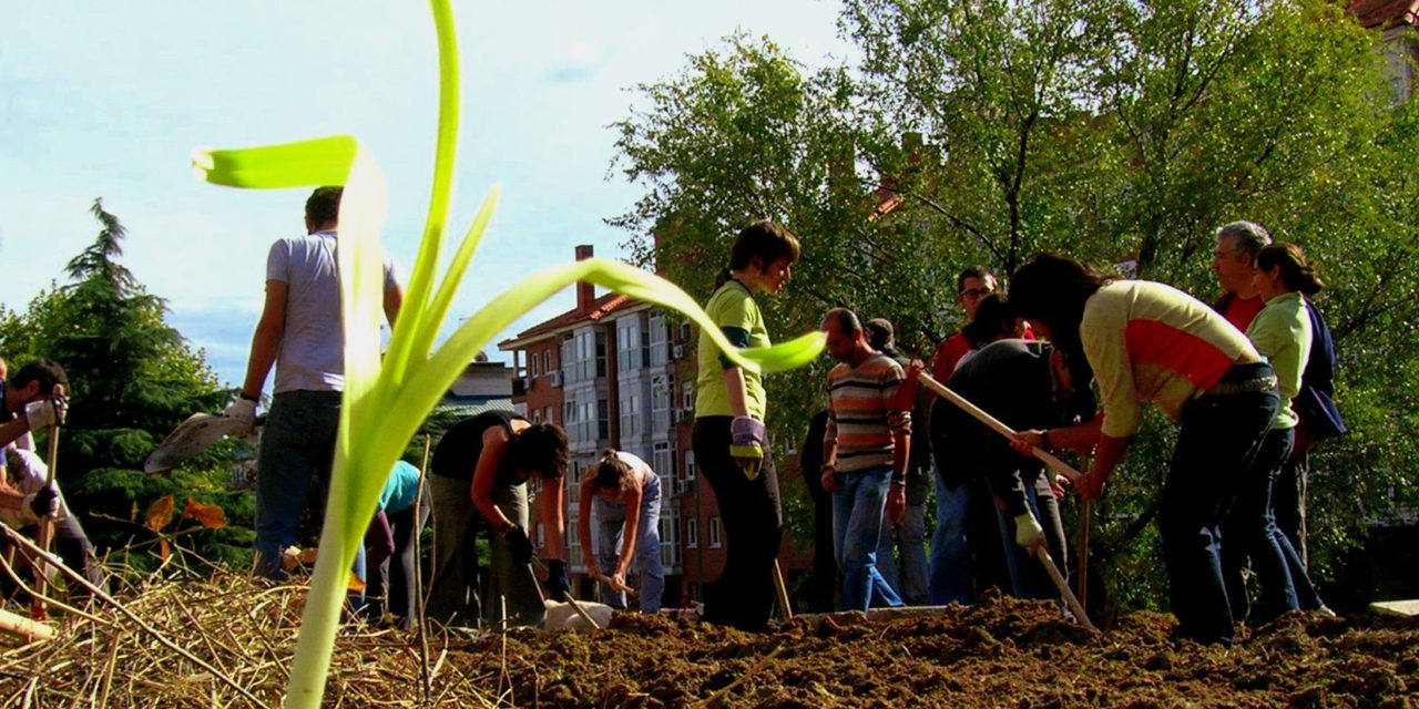 La horticultura urbana madrileña llega a La Casa Encendida con la exposición ”Plantando redes”