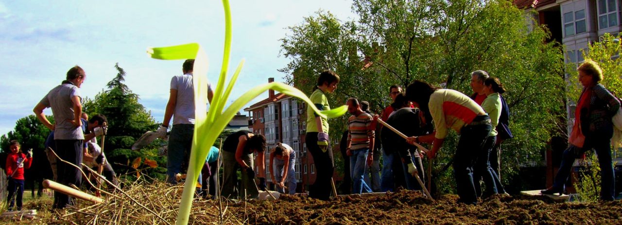 La horticultura urbana madrileña llega a La Casa Encendida con la exposición ”Plantando redes”