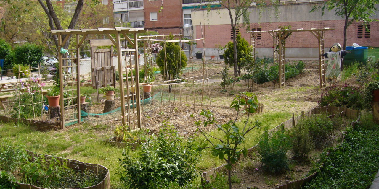 Un archipiélago verde crece en Madrid: la red de huertos urbanos comunitarios