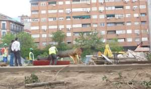 El Ayuntamiento comete un nuevo “arboricidio” con las obras el mercado provisional de Barceló