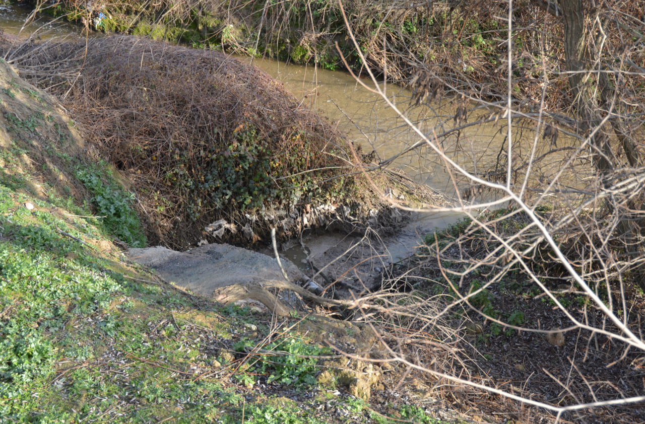 17 años de vertidos de aguas fecales al Arroyo de la Vega, ¡ya basta!