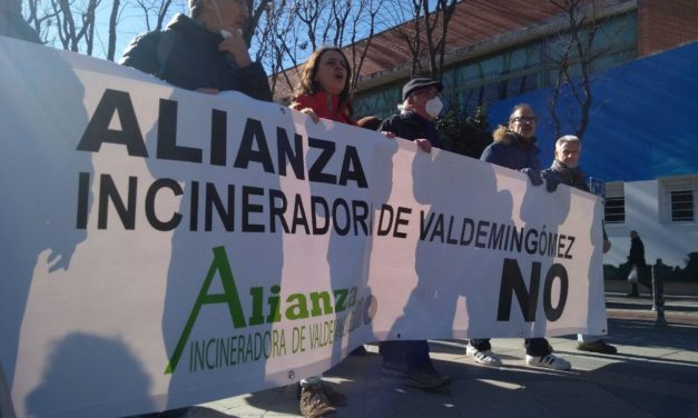 Miles de personas reclaman en Vallecas el cierre de la incineradora de Valdemingómez