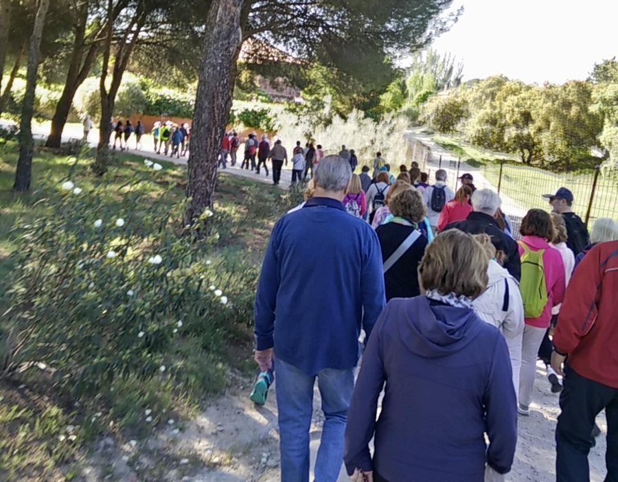 Un centenar de personas marchan en defensa del Monte del Pilar de Majadahonda