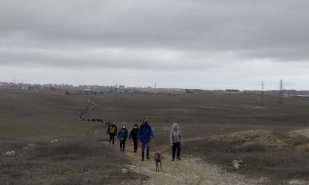 Galería de imágenes de la II Marcha por el cierre de la incineradora de Valdemingómez