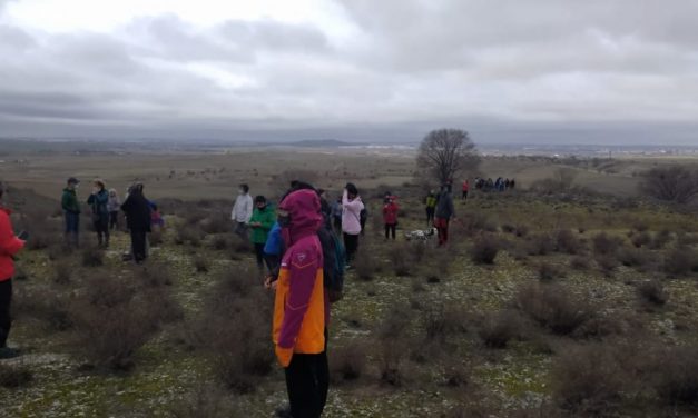 Galería de imágenes de la II Marcha por el cierre de la incineradora de Valdemingómez