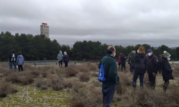 Galería de imágenes de la II Marcha por el cierre de la incineradora de Valdemingómez