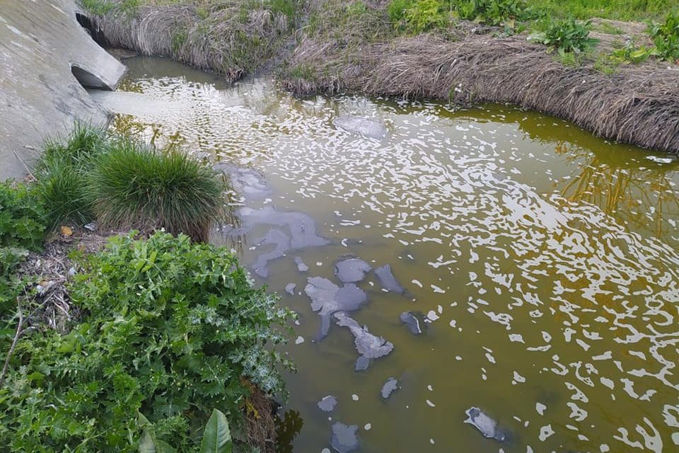 La vecindad de Perales del Río, alarmada por la contaminación y pestilencia del arroyo de La Abulera