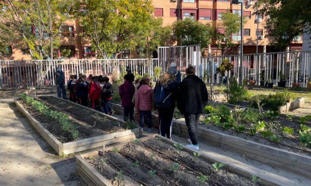 La vecindad de Arganzuela se moviliza para impedir que la junta municipal desaloje el huerto urbano Las Vías