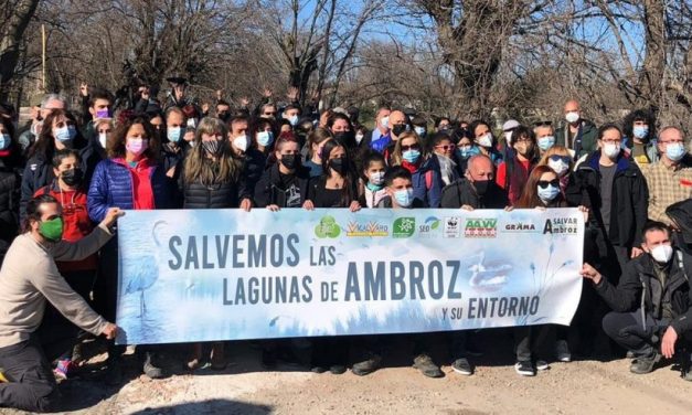 Reclaman la recuperación del corredor ecológico de Ambroz