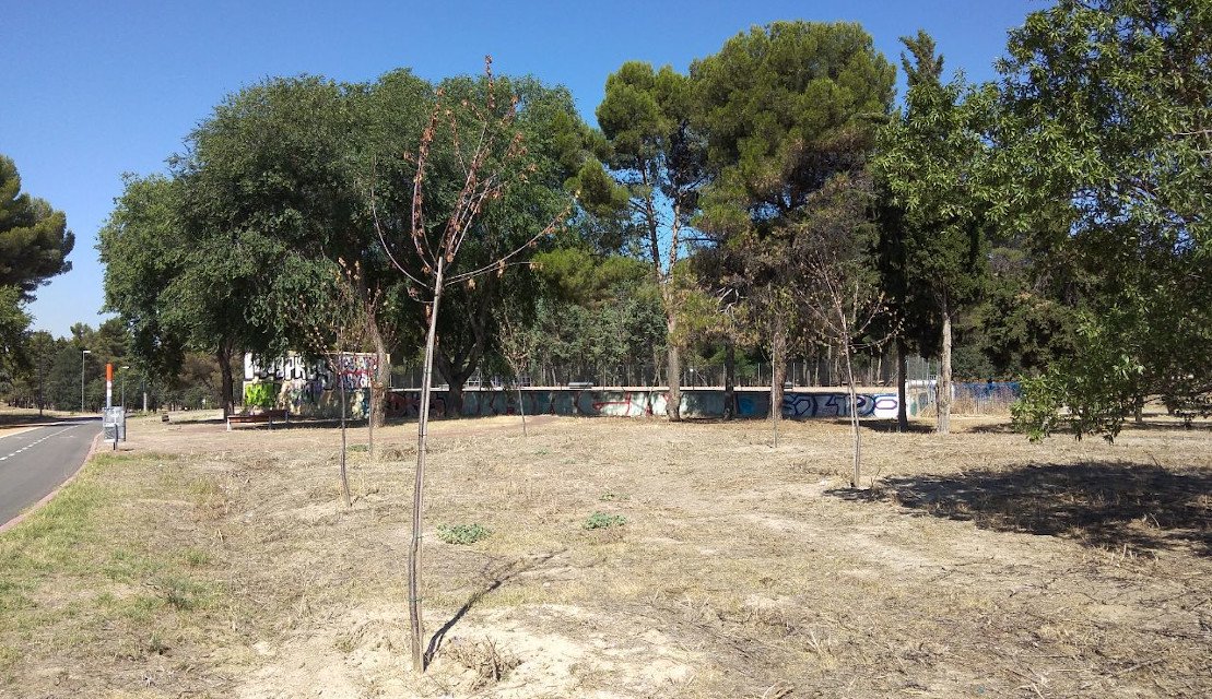 Denuncian el abandono de las plantaciones en el Parque Forestal de Entrevías