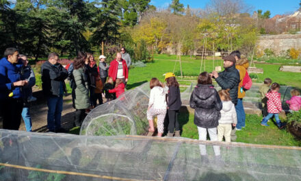La FRAVM rechaza la privatización de la jardinería de la Quinta de Torre Arias