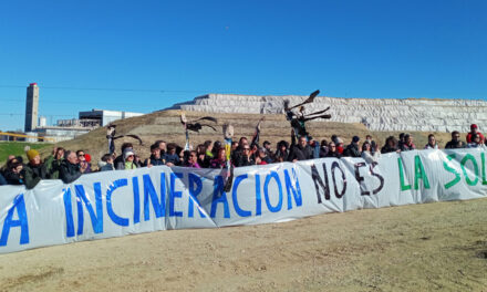 Nueve kilómetros de marcha para exigir el cierre de la incineradora de Valdemingómez antes de 2025