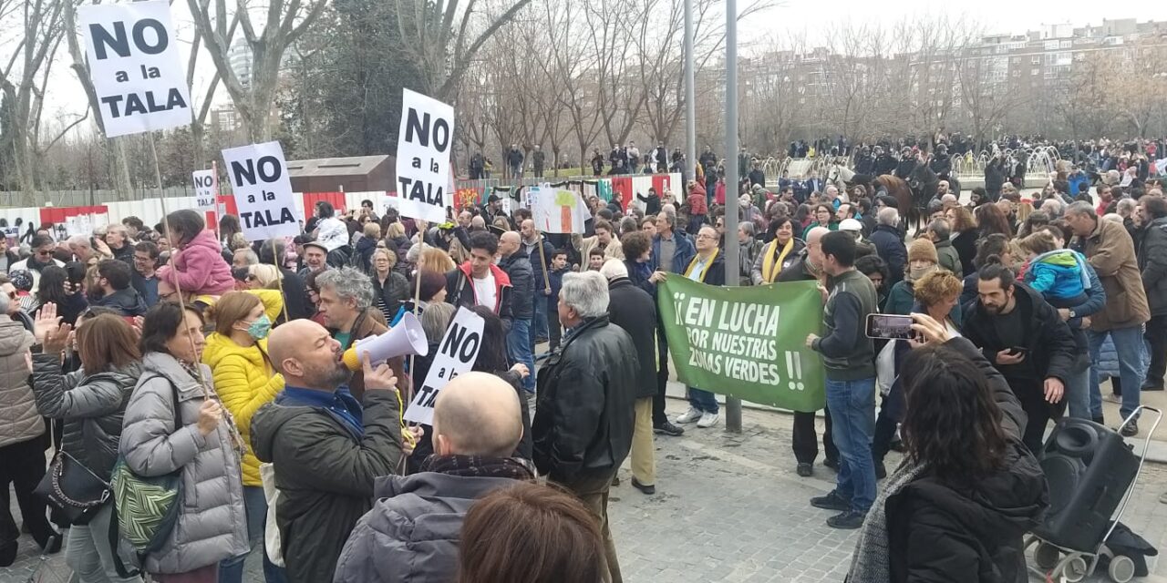 La paralización de las talas de Madrid Río por la ampliación de la línea 11 de Metro es insuficiente