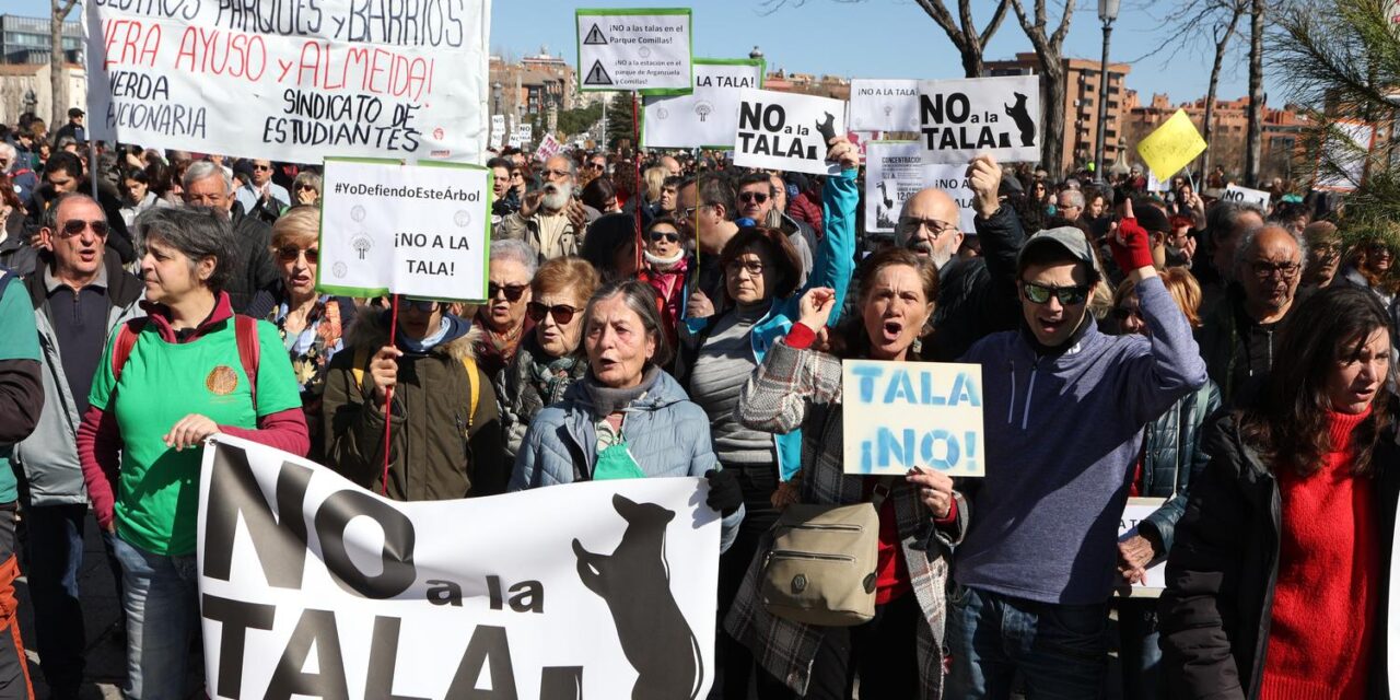 La autorización de tala en Madrid Río emitida por el Ayuntamiento de Madrid se basa en falsedades