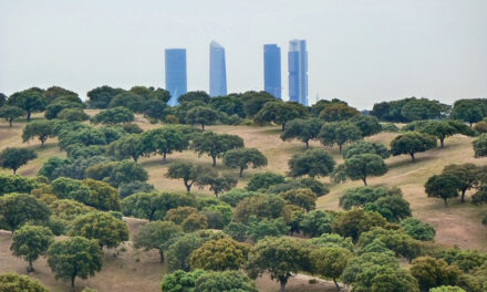 El Monte de El Pardo debe gestionarse bajo una figura de protección que garantice la conservación de su biodiversidad