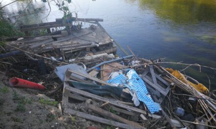 Colectivos vecinales y ecologistas se manifiestan en Perales del Río por la defensa del río Manzanares