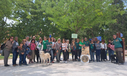 Los colectivos en defensa de los parques se levantan contra Almeida