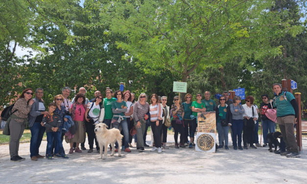 Los colectivos en defensa de los parques se levantan contra Almeida