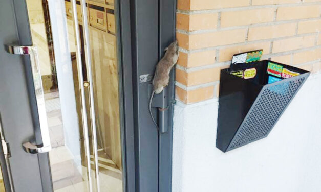 Plaga de ratas en el Barrio de los Puertos (Arganzuela)