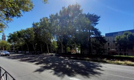 El arbolado del Paisaje de la Luz también es Patrimonio Mundial