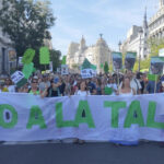 Este sábado, tres manifestaciones simultáneas rechazarán las talas de árboles y defenderán un Madrid más sostenible