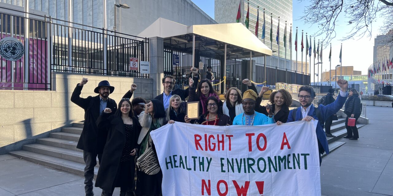 La Coalición Mundial por el Derecho a un Medio Ambiente Sano recibe el Premio de Derechos Humanos de la ONU