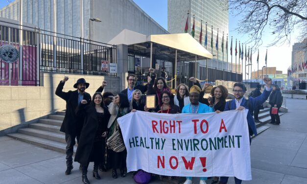 La Coalición Mundial por el Derecho a un Medio Ambiente Sano recibe el Premio de Derechos Humanos de la ONU