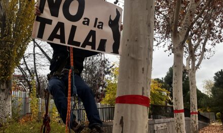 Colecta para hacer frente a las multas por las protestas contra la tala de árboles de la ampliación de la línea 11 de Metro