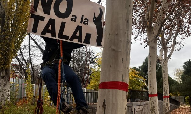 Colecta para hacer frente a las multas por las protestas contra la tala de árboles de la ampliación de la línea 11 de Metro