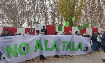 Colectivos vecinales y ecologistas tratan de paralizar la tala de árboles que ha empezado en Madrid Río