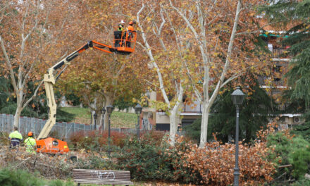 Protesta en el parque de Comillas contra el inicio de las talas de árboles de la ampliación de la línea 11 de Metro