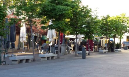 Stop al arboricidio de la plaza de Santa Ana (Madrid Centro)