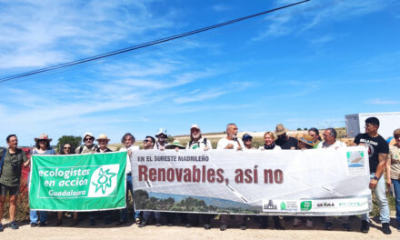 Marcha de protesta en Almoguera (Guadalajara) contra la proliferación de parques fotovoltaicos