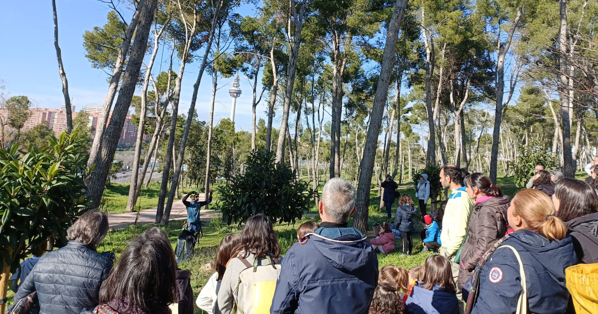 El Ayuntamiento de Madrid proyecta convertir el Pinar de La Elipa en un “parque duro” con amplias zonas pavimentadas