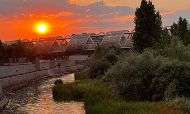 Más de 80 científicos firman un manifiesto contra la iluminación nocturna sobre el cauce del río Manzanares