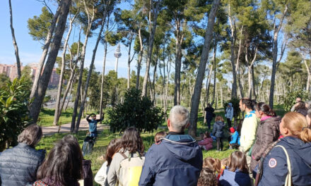 El Ayuntamiento de Madrid proyecta convertir el Pinar de La Elipa en un “parque duro” con amplias zonas pavimentadas