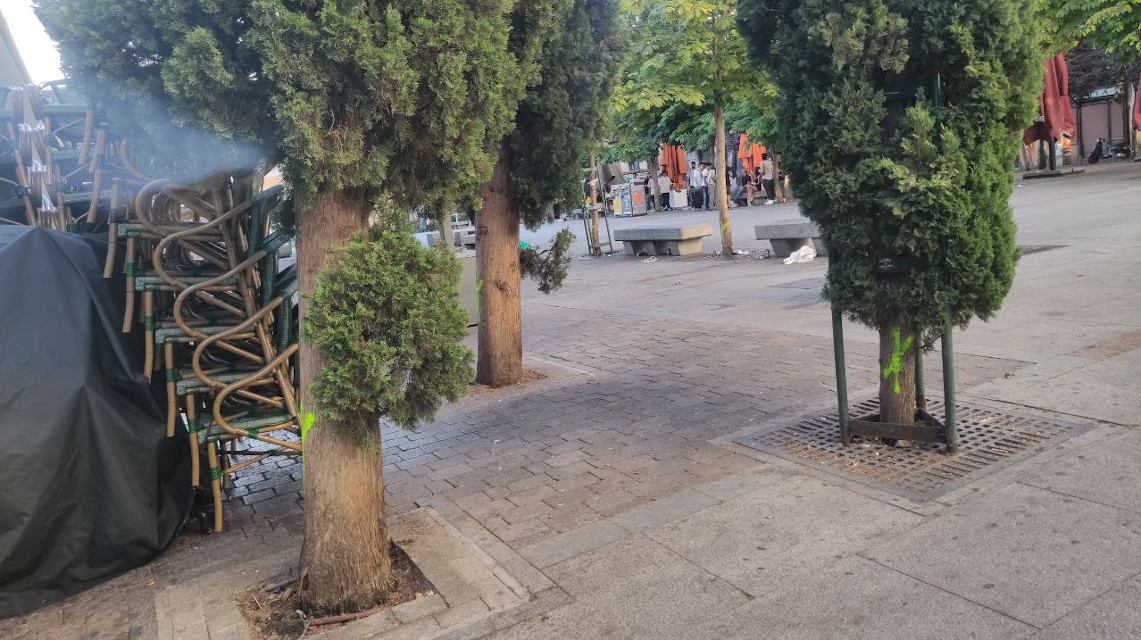 La vecindad, en pie de guerra contra la tala de los árboles de la plaza de Santa Ana