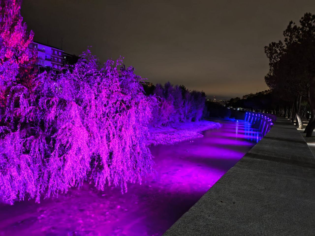 Vecinos y ecologistas piden medidas cautelares contra el alumbrado ornamental en el cauce del Manzanares en Madrid Río