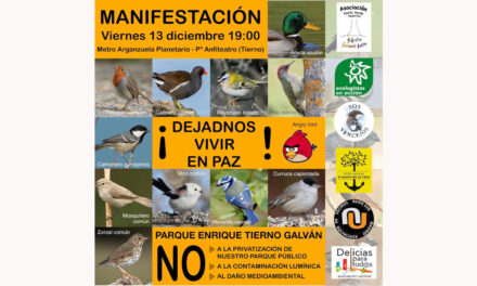 Nueva manifestación contra el daño medioambiental de los eventos en el parque Enrique Tierno Galván